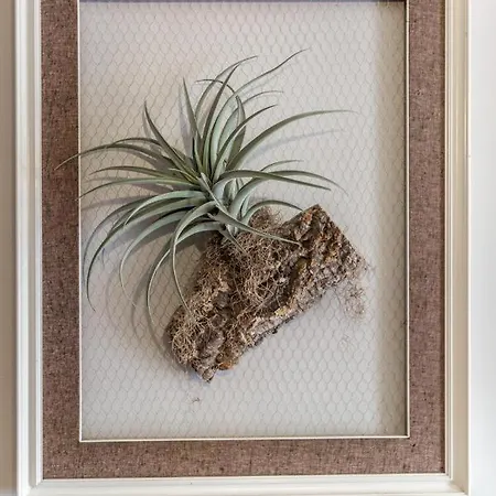 Πανσιόν Gardabeds Adults Only 4*